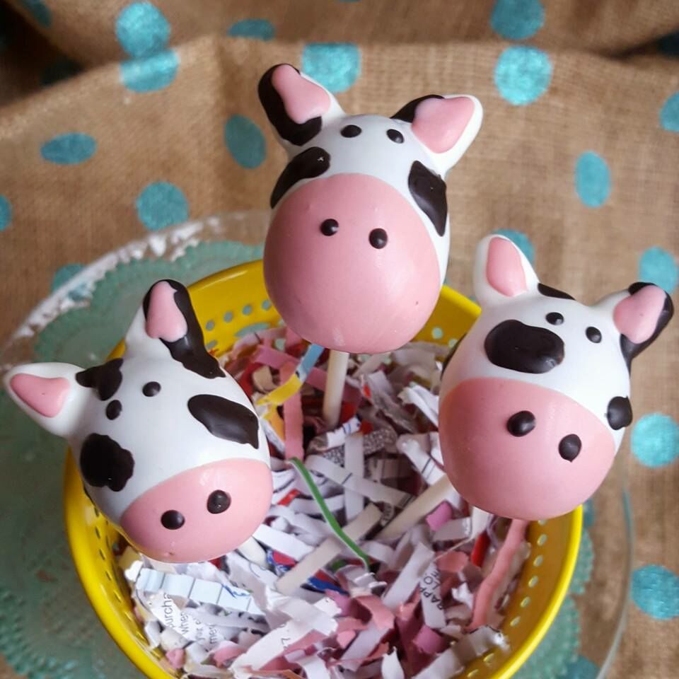 Cows