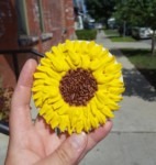 Sunflowers Sugar Cookie