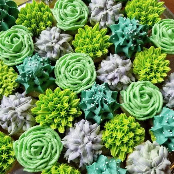 succulent cupcakes