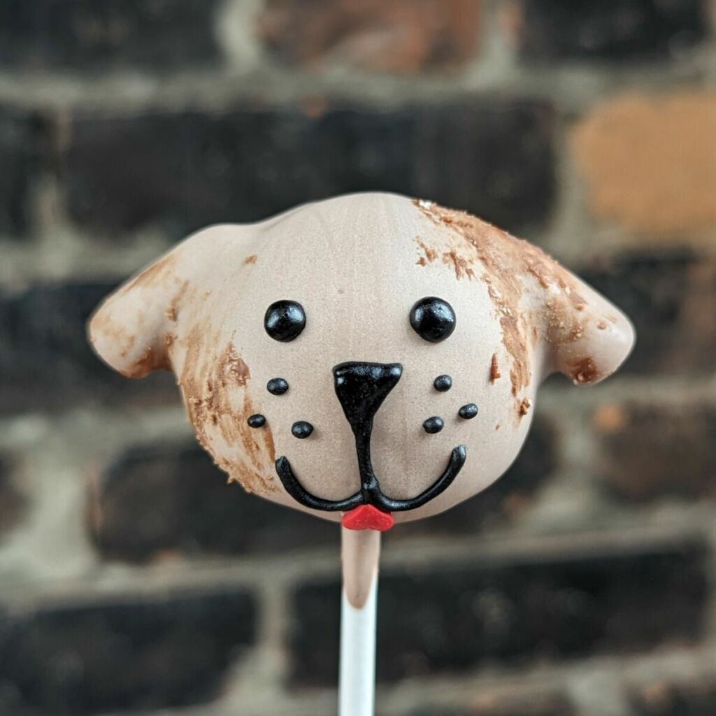 Dog Cake Pop Decorating Class
