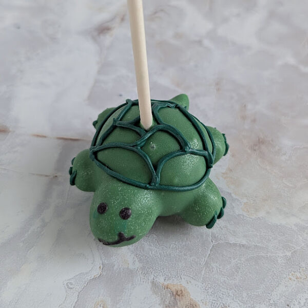 Turtle Cake Pop 2025