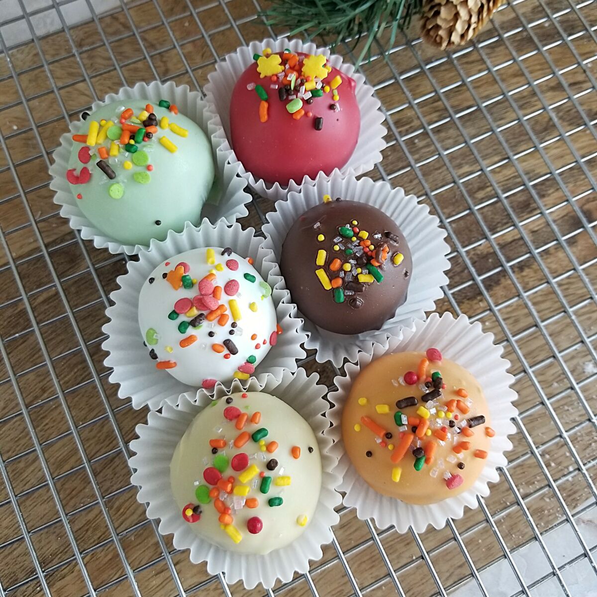 Fall Sampler Pops 2023