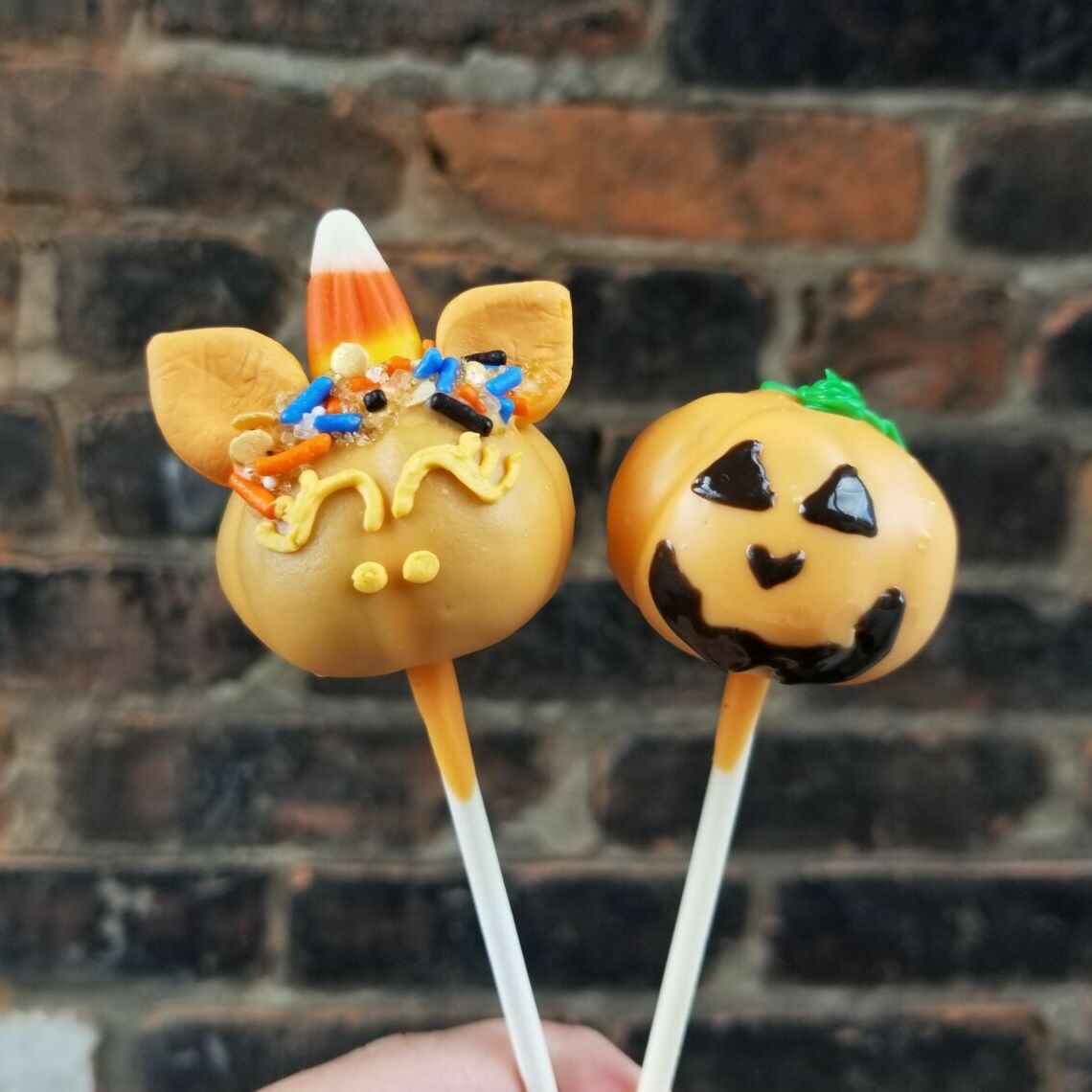Cake Pop Kit October 2020