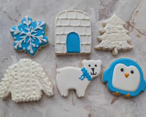 Winter Sugar Cookie Class 2025