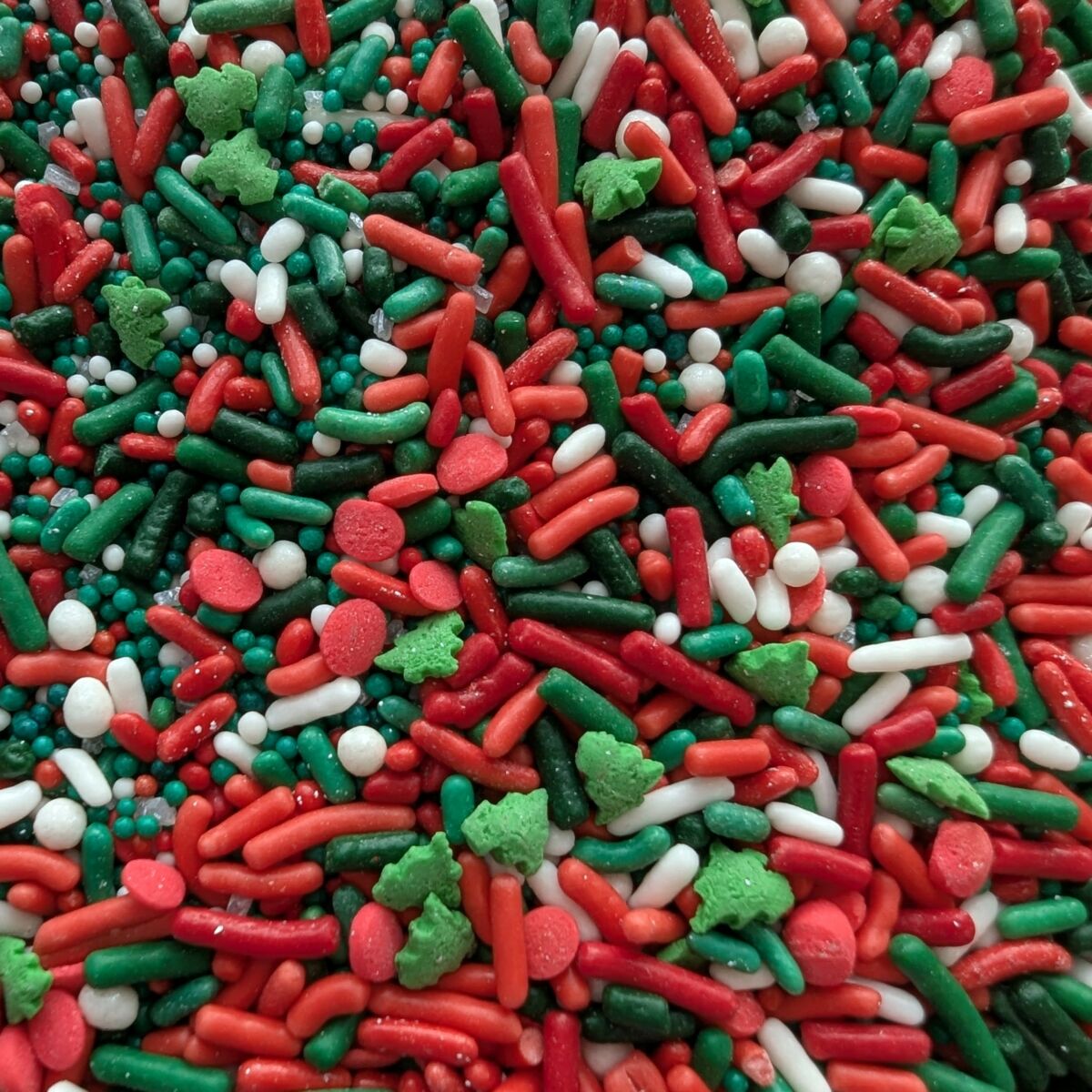 christmas fushion close up